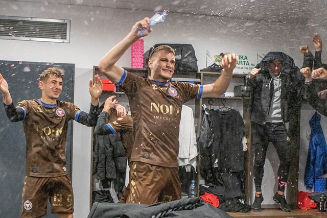 析师和政策 析师和政策