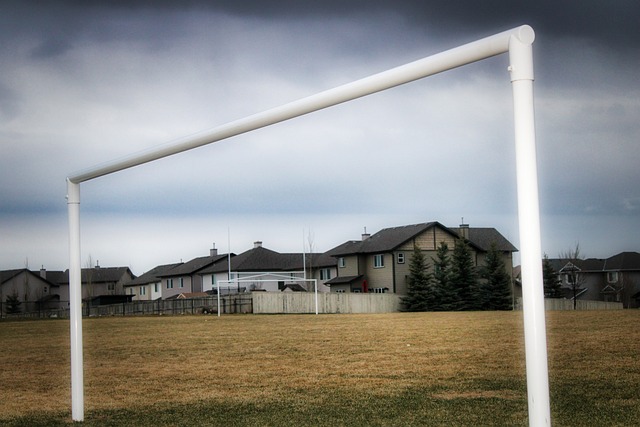 令人瞩目的 令人瞩目的