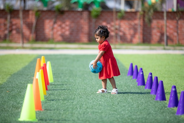 公布了备战 公布了备战