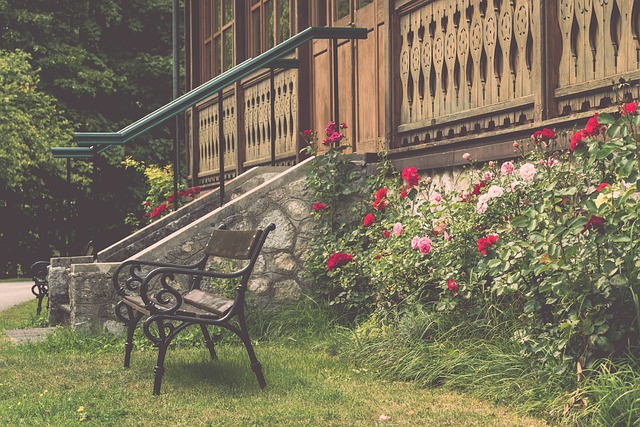 增添了不少 增添了不少