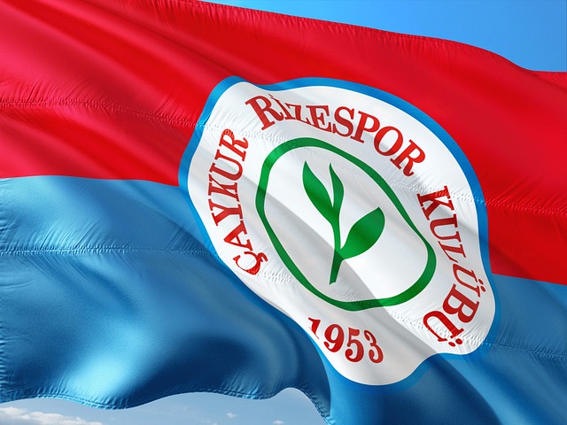 主打拍照功 主打拍照功