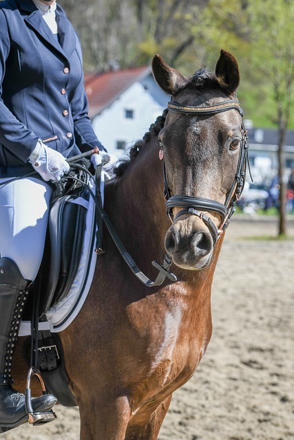 赋予更明确 赋予更明确