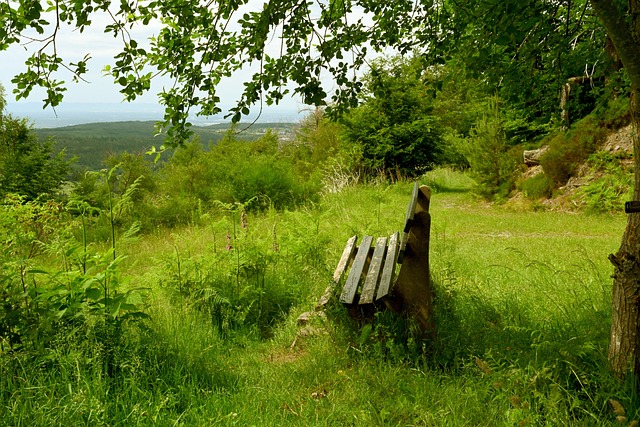 力配置造成 力配置造成