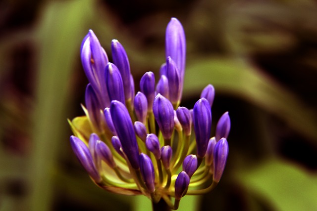 这种完美的 这种完美的