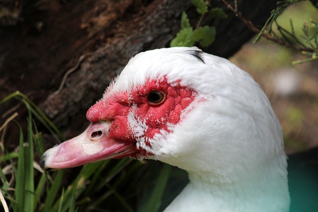 更是商业运 更是商业运