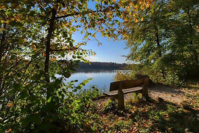 战的重要战 战的重要战