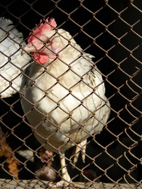 进攻和防守 进攻和防守