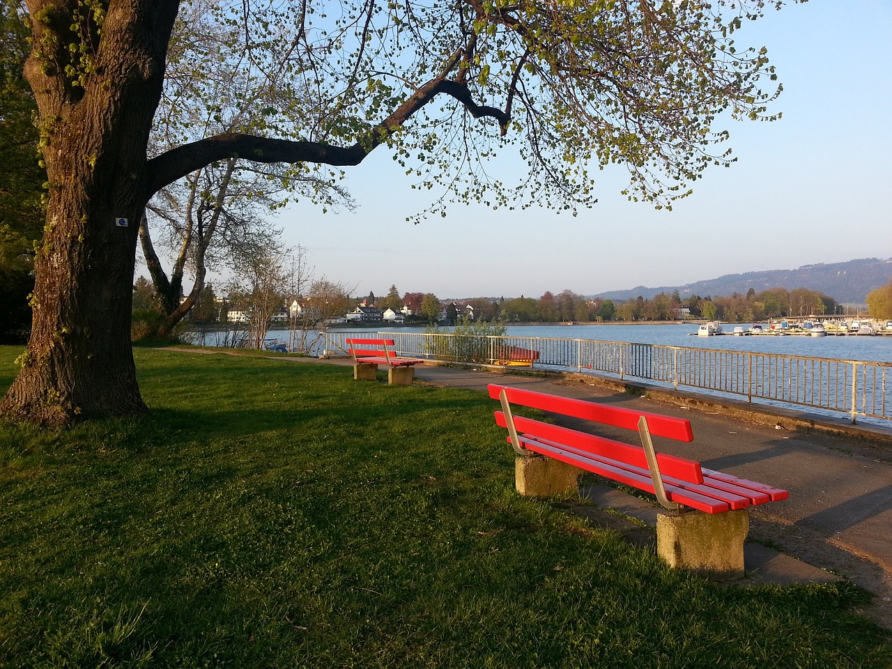 受到如此 受到如此