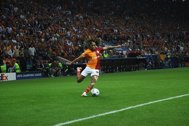 了未来证监 了未来证监